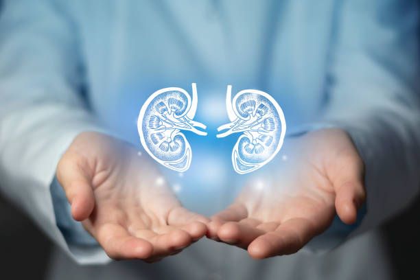 Thận tiết niệu
